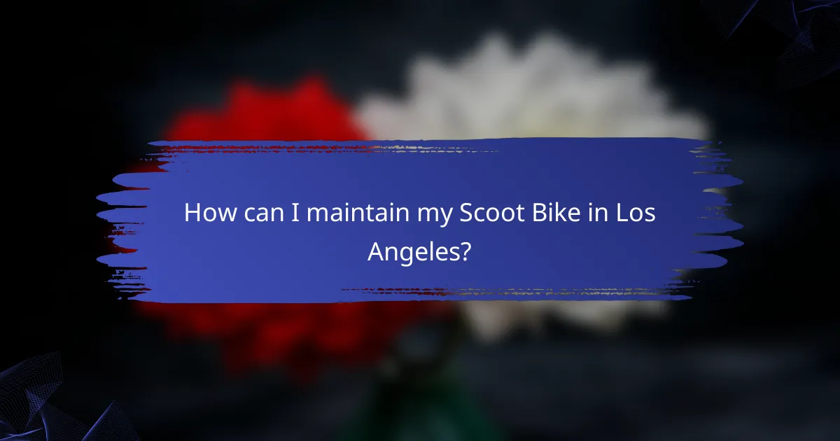 How can I maintain my Scoot Bike in Los Angeles?