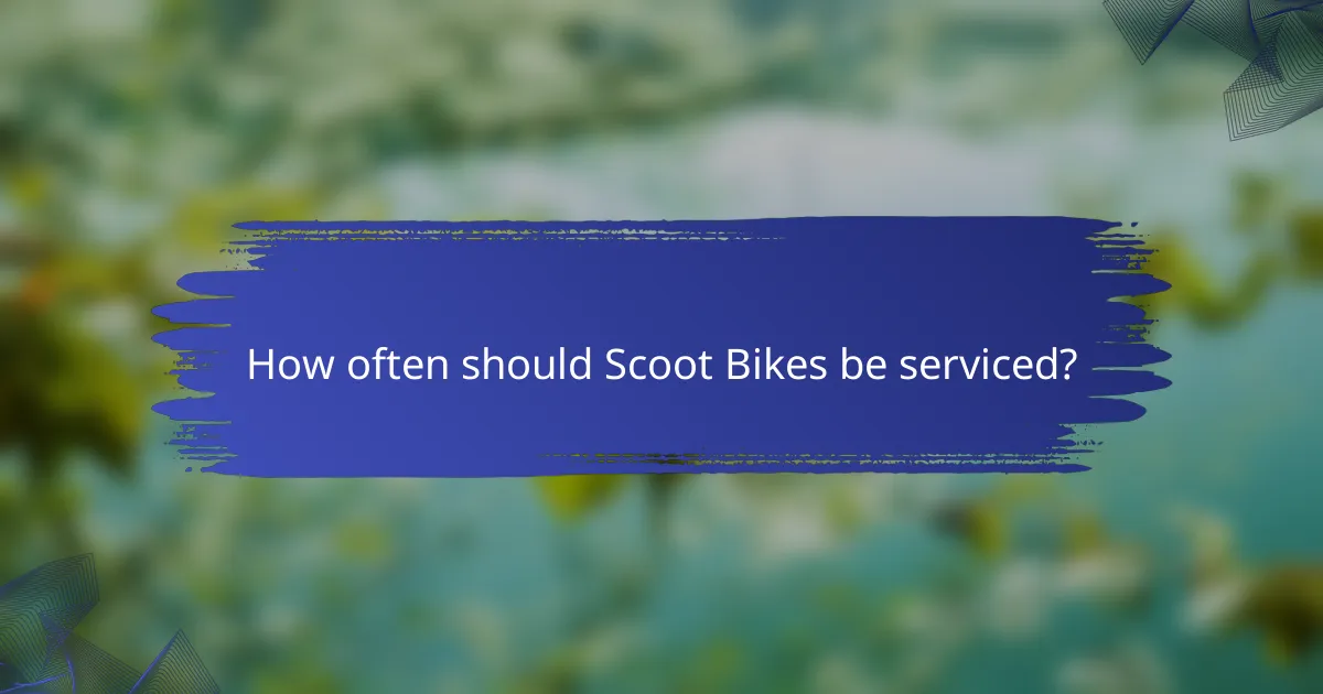 How often should Scoot Bikes be serviced?