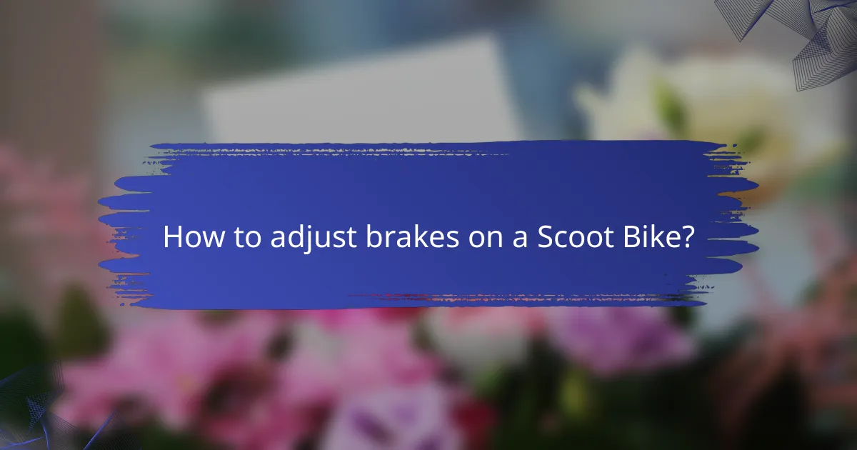 How to adjust brakes on a Scoot Bike?