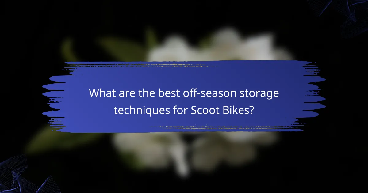 What are the best off-season storage techniques for Scoot Bikes?