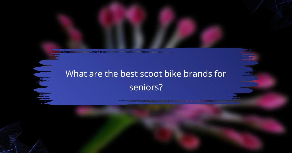 What are the best scoot bike brands for seniors?