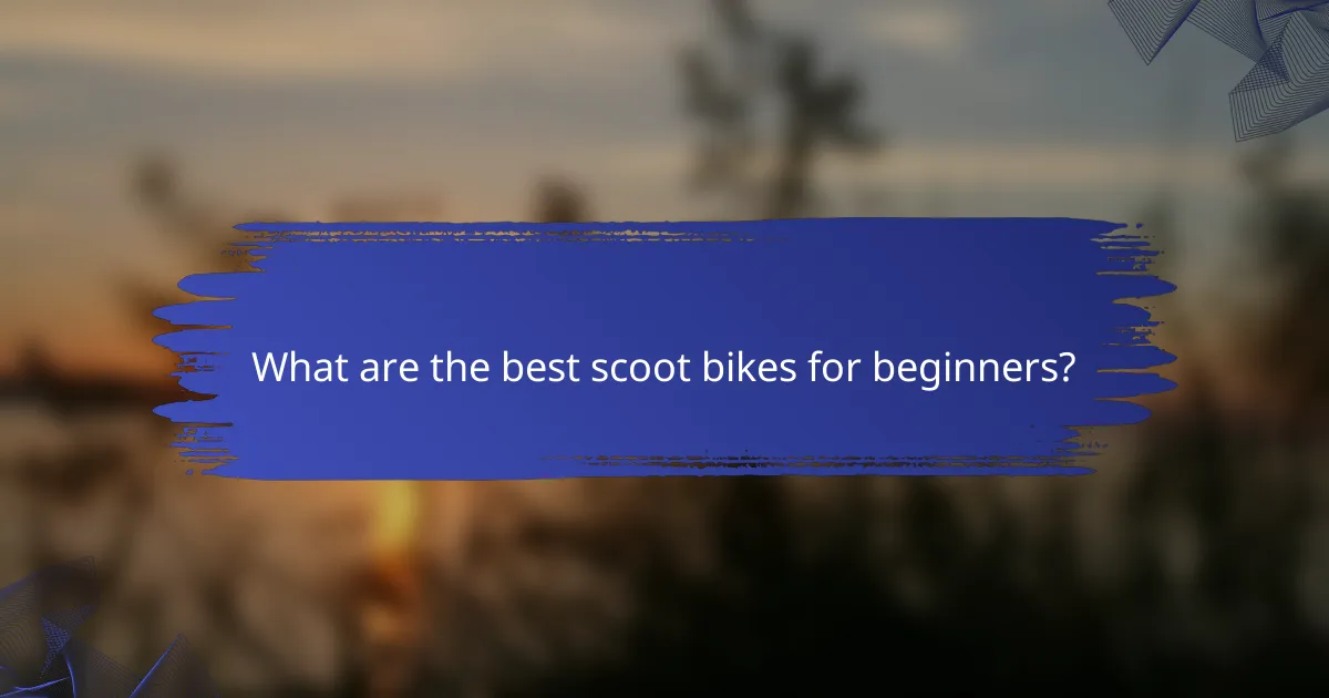 What are the best scoot bikes for beginners?