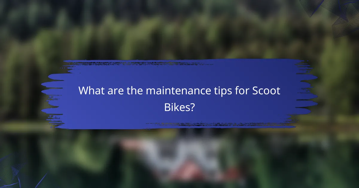 What are the maintenance tips for Scoot Bikes?