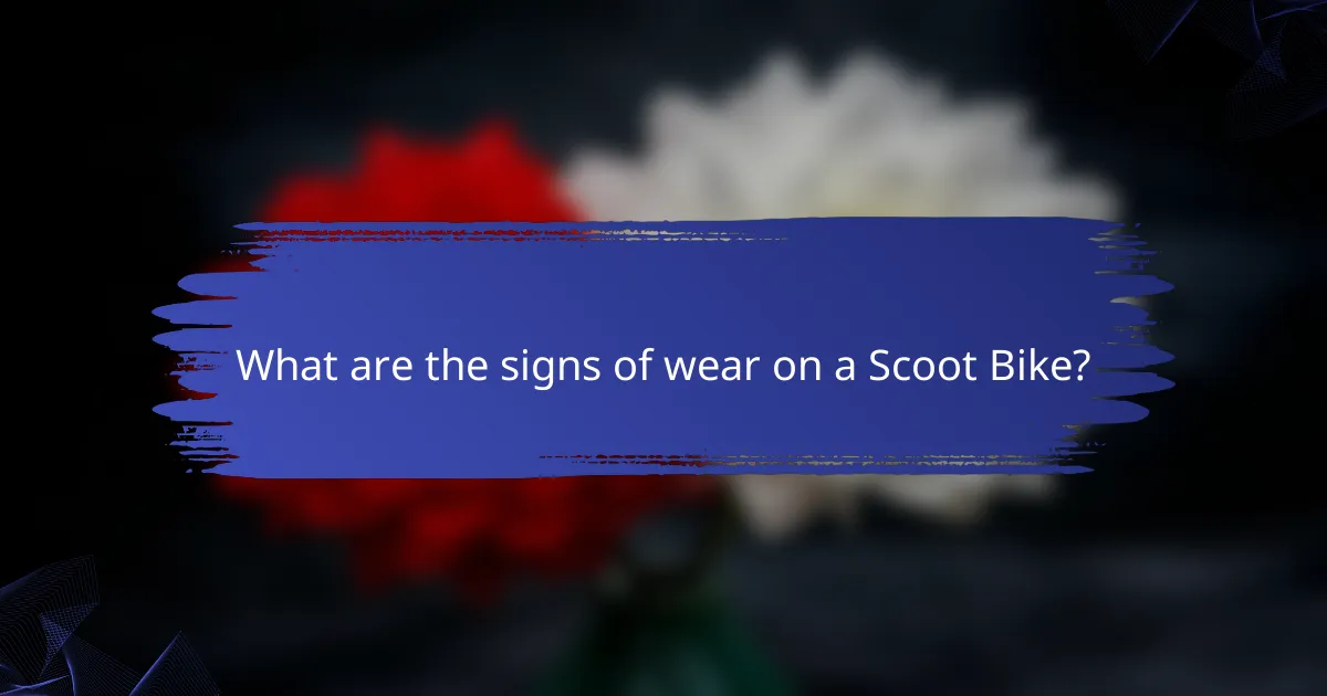 What are the signs of wear on a Scoot Bike?