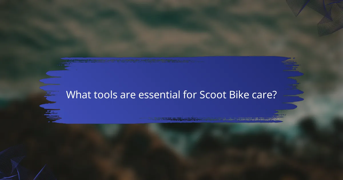 What tools are essential for Scoot Bike care?